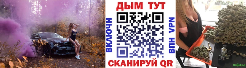 Каннабис сатива Себеж